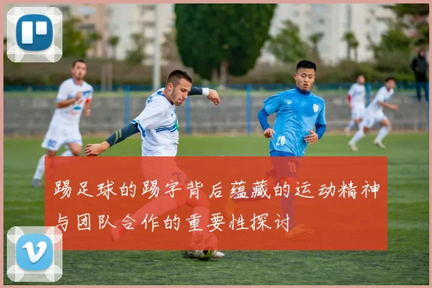 踢足球的踢字背后蕴藏的运动精神与团队合作的重要性探讨