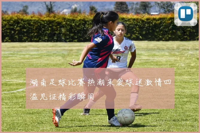 湖南足球比赛热潮来袭球迷激情四溢见证精彩瞬间