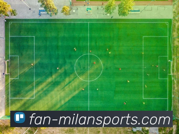 多媒体互动体验